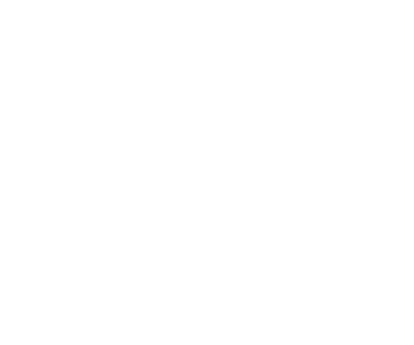 The Toastmasters Logo